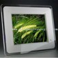 Digital Photo Frame small picture