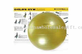 Golds Gym Body Ball