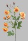 Rose Planter small picture