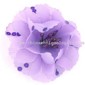 Wedding Flower small picture