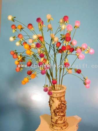 Cirsium