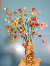 Cirsium images