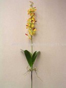 Orchid Planter images