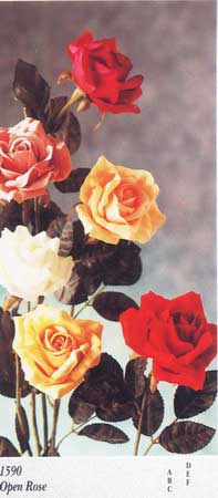 Open Rose