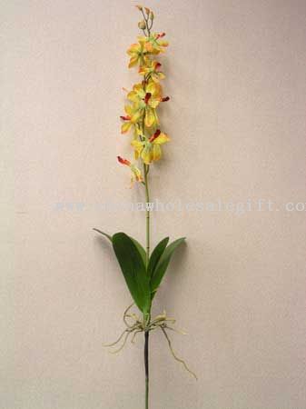 Orchid Planter