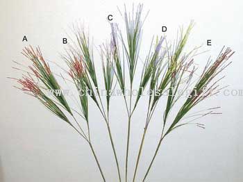 Tassel Onion Grass