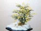 Mimosa W/PU Stone small picture