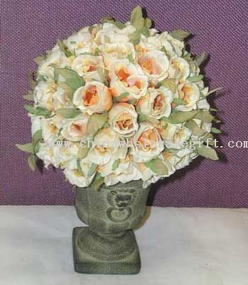 Topiary Rose W/Pot