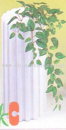 Mini Fittonia Vine