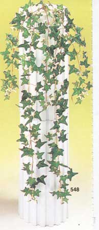 Mini Mixed Ivy Vine