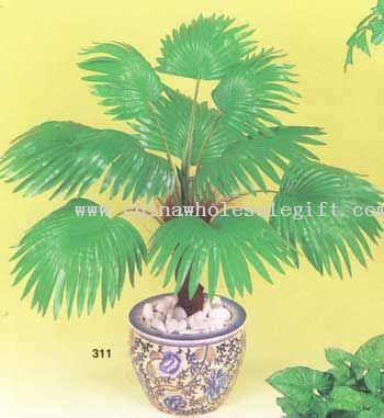 Palmetto