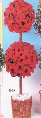 Ball Poinsettia