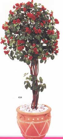 Mini Rose