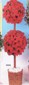 Ball Poinsettia small picture