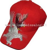 Baseball cap images