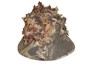 Special Hat small picture