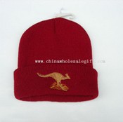 Man Knitting Cap images