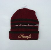 Man Knitting Cap images