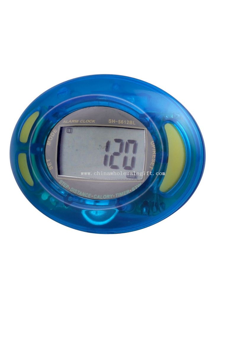 LCD Clock & Pedometer
