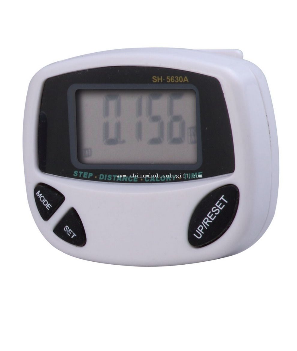 LCD Clock & Pedometer