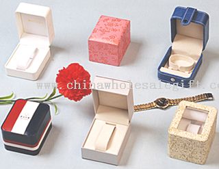 Watch Box