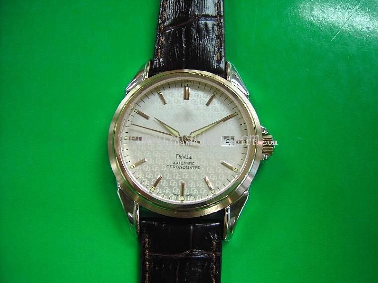 Fashion Watches