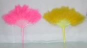 feather pen in fan shape images