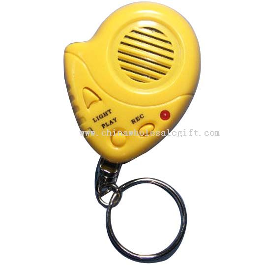 10 seconds of high quality digital recording