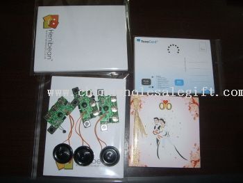 Sound Card