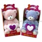 Talking Teddy Bear small picture