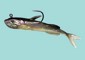 soft lures small picture