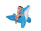 RIDE ON DOLPHIN small picture