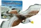 FLYING EAGLE small picture