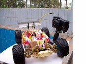 5009 R/C 1:10 Nitro 4WD Monster Truck images