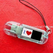 Solar-powered LCD Keychain with Flashing Logo and USB Flash Drive images