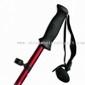 Three-section Walking Stick with Plastic Handle small picture