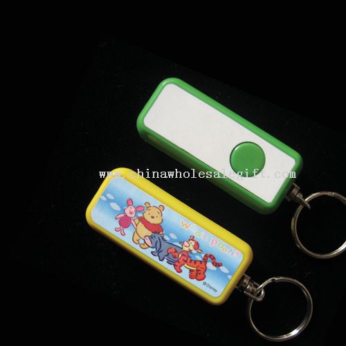 Projection Keychain