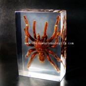 Paperweight de cristal mare Tarantula images