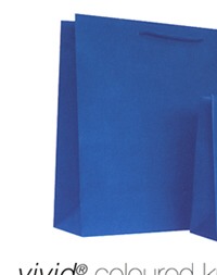 Vivid Coloured Kraft Bags