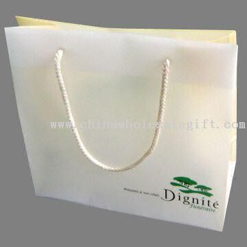 Promotional Gift Bag with PP Cord Handle