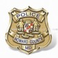 Politi og militær Badge small picture