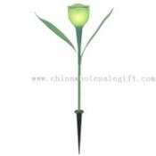 Solar powered Tulip lys images