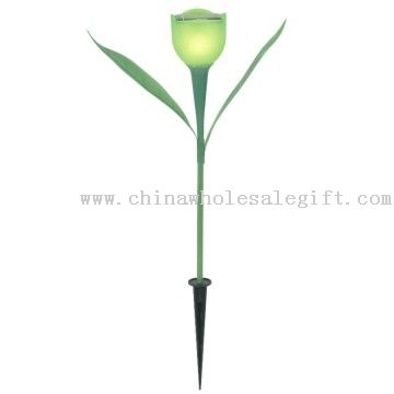 Solar powered Tulip lys