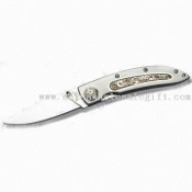 4,5-tums rostfritt stål hopfällbar kniv med längd 4,5-tums stängd och Liner Lock images