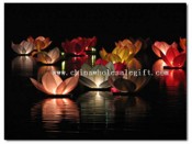 Water Lanterns images