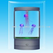 LED medúza akvárium images