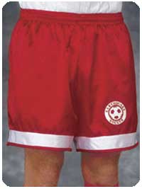 Satin with White Insert Soccer Shorts