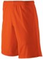 Longer, Baggy Cut! Long Mesh Short small picture