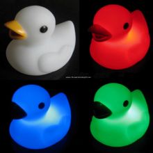 Flashing Duck images