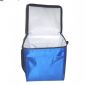 Basic bilancio poliestere 210D può Cooler Bag small picture
